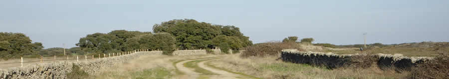 Caminos Históricos de Salamanca